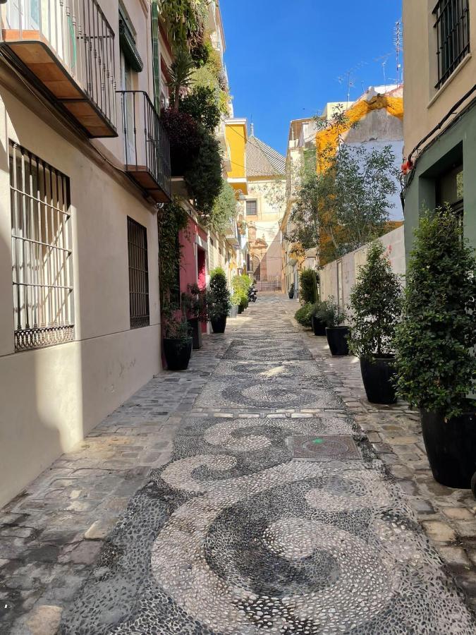 Paloma Suite Solarium Centro Historico Málaga Kültér fotó