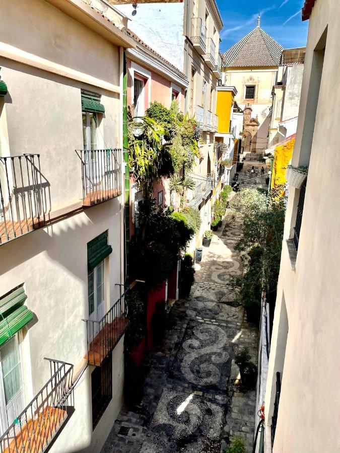 Paloma Suite Solarium Centro Historico Málaga Kültér fotó